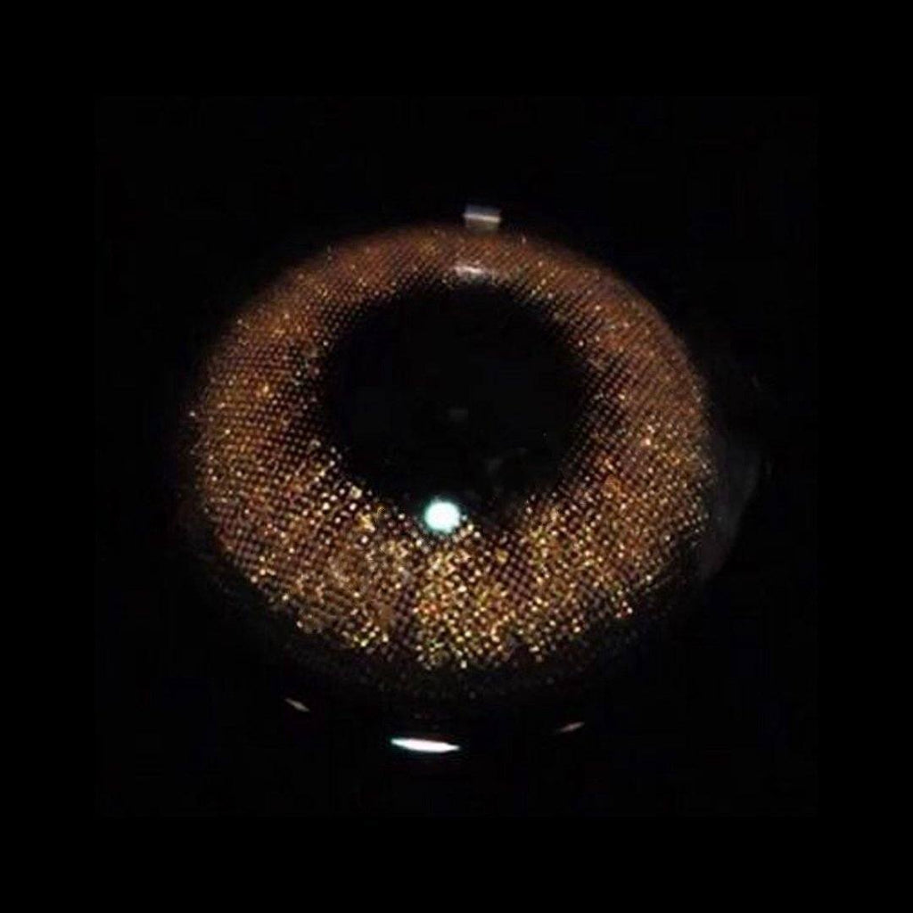 Aurum Brown  Colored Contact Lenses