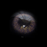 Aurum Violet  Colored Contact Lenses