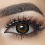Big Eyes Chocolate Brown Colored Contact Lenses