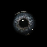 Blue Whale Colored Contact Lenses