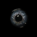 Blue Whale Colored Contact Lenses