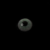 Caramelize Gray  Colored Contact Lenses