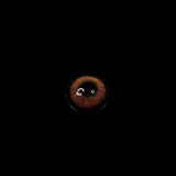 Caramelize Monros co Brown Colored Contact Lenses