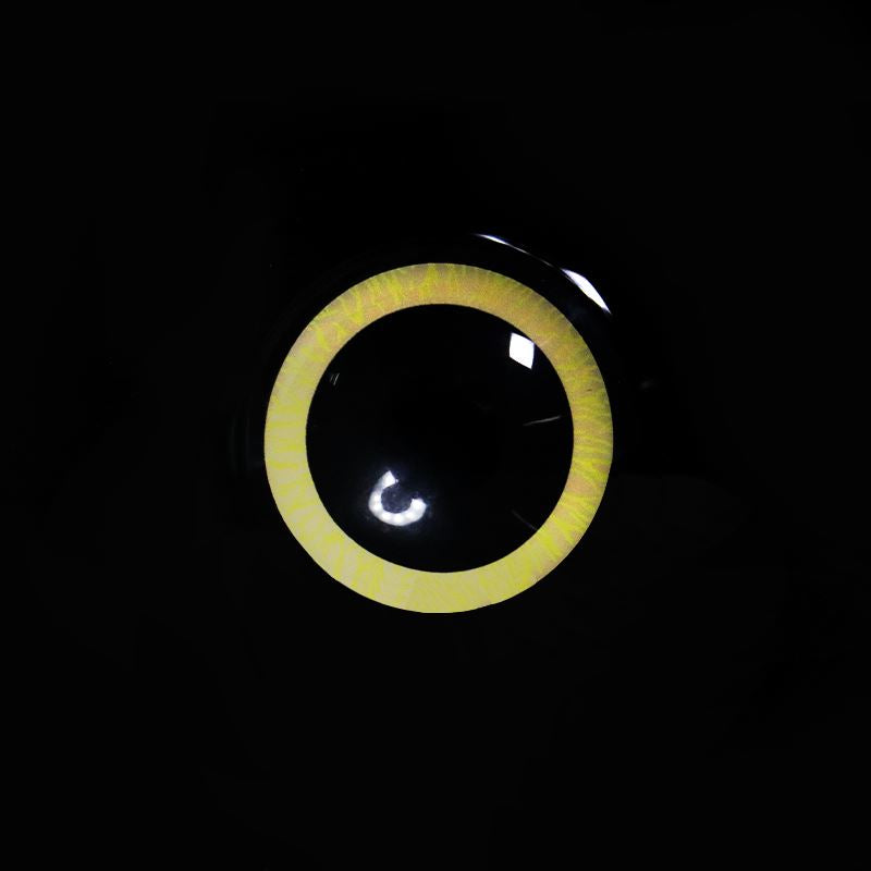 Cosplay Nebulos Yellow Colored Contact Lenses