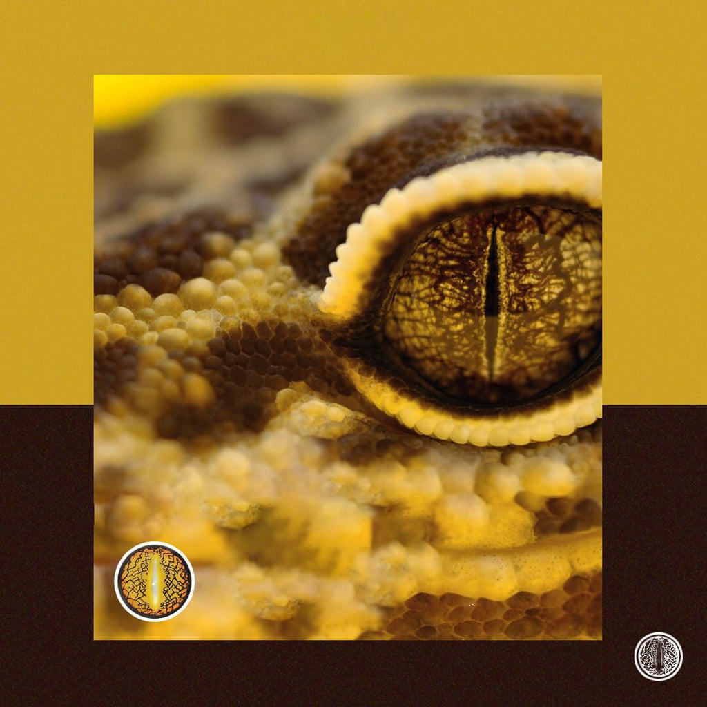 Halloween Lizard Eye Brown Colored Contact Lenses