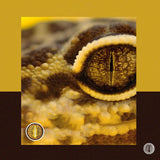 Halloween Lizard Eye Brown Colored Contact Lenses