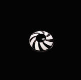 Halloween OPTICAL ILLUSION Black Colored Contact Lenses
