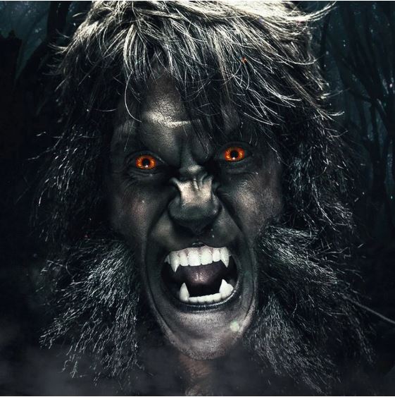 Halloween WOLF EYES Red Colored Contact Lenses
