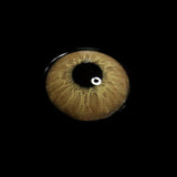 Love Story Pea Brown Colored Contact Lenses