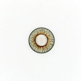 New York Angeles Gray Colored Contact Lenses