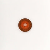 New York N Hazel  Prescription  Colored Contact Lenses