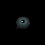 New York N Jade Blue  Prescription  Colored Contact Lenses