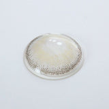 Premium Candy Gray Prescription Colored Contact Lenses